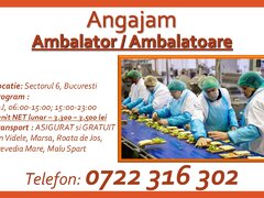 Ambalator